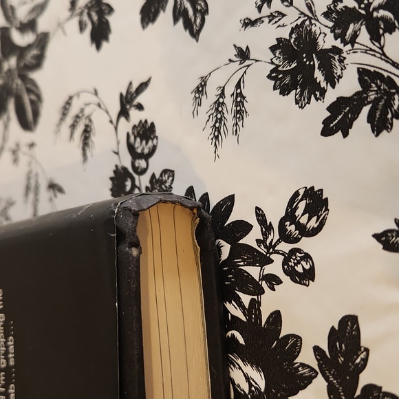 The dead boyfriend n13 - Picture 7 of 8